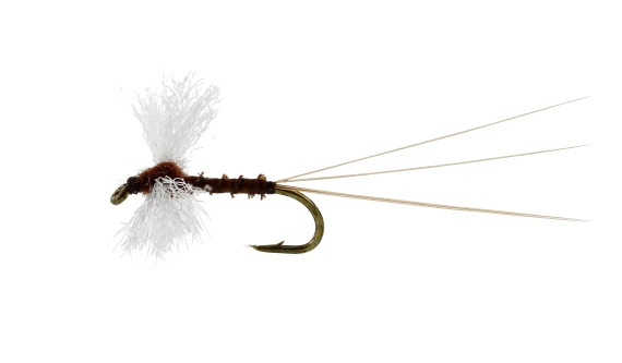 Vespertina Spinner Biot Brown TMC100 in the group Fishing methods / Fly Fishing / Flies / Dry Flies at Sportfiskeprylar.se (FL32125r)