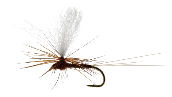 Marginata Dun Biot Brown TMC100 in the group Lures / Flies / Dry Flies at Sportfiskeprylar.se (FL32130r)