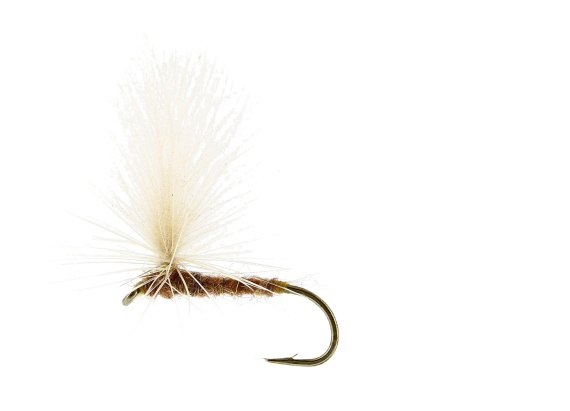 Aurivilli Dun Ginger TMC100 in the group Lures / Flies / Dry Flies at Sportfiskeprylar.se (FL32160r)
