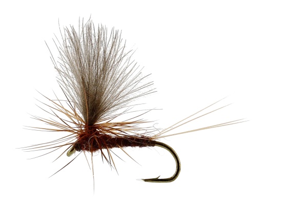 Vespertina Dun Brown TMC100 in the group Fishing methods / Fly Fishing / Flies / Dry Flies at Sportfiskeprylar.se (FL32170r)