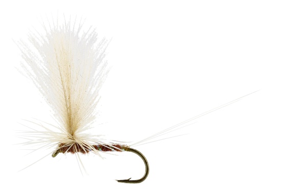 Aurivilli Flash Dun Ginger TMC100 in the group Lures / Flies / Dry Flies at Sportfiskeprylar.se (FL32185r)
