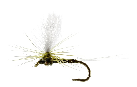 Baetis Dun Quill Olive TMC100 in the group Lures / Flies / Dry Flies at Sportfiskeprylar.se (FL32190r)