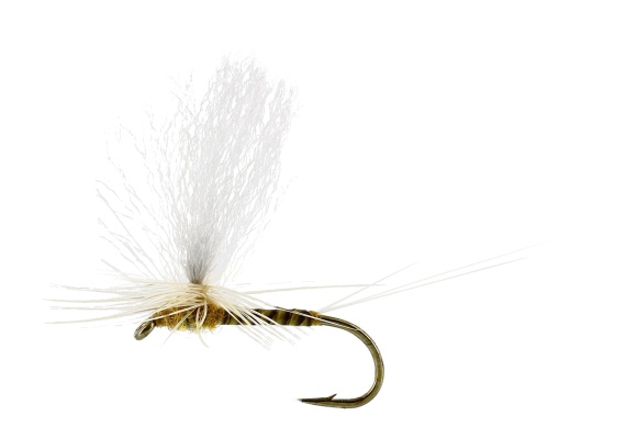 Sulphurea Dun Quill Yellow TMC100 in the group Fishing methods / Fly Fishing / Flies / Dry Flies at Sportfiskeprylar.se (FL32200r)