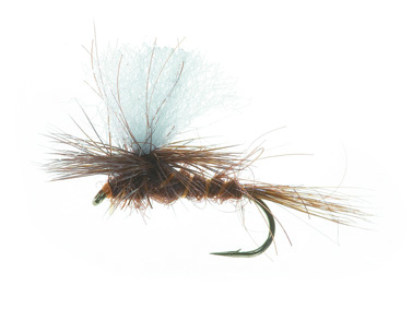Parashute Dun Dark Brown Daiichi 1180 #14 in the group Lures / Flies / Dry Flies at Sportfiskeprylar.se (FL35024)