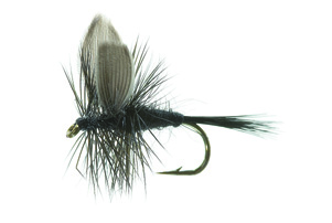 Black Gnat Black TMC 100 #12 in the group Lures / Flies / Dry Flies at Sportfiskeprylar.se (FL42006)