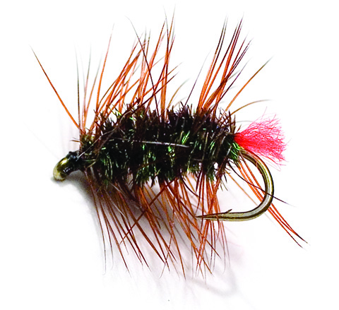 Red Tag Palmer Brown/Red TMC 100 #16 in the group Lures / Flies / Dry Flies at Sportfiskeprylar.se (FL44018)