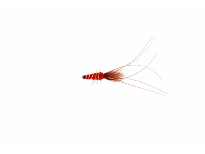 Red Frances Tube in the group Lures / Flies / Tube Flies at Sportfiskeprylar.se (FL97101r)