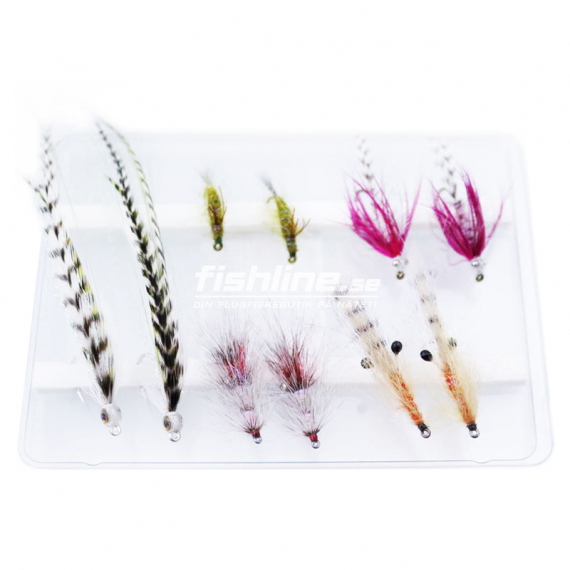 Fly Collection Seatrout UV 10-Pack in the group Lures / Flies / Fly Kits at Sportfiskeprylar.se (FL99102)