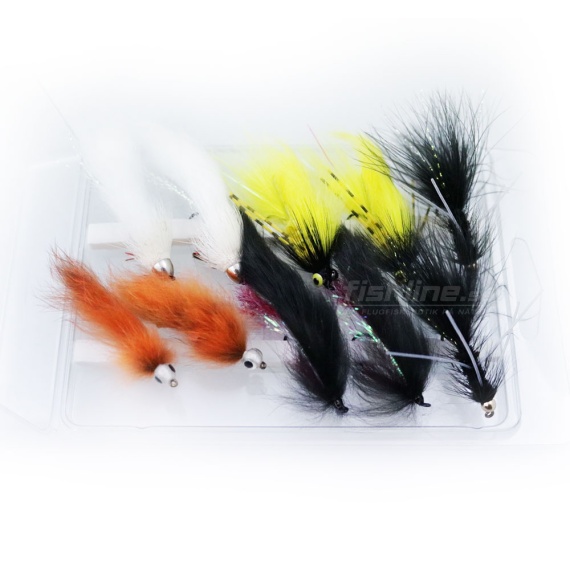 FLy Assorment Streamers 10pcs in the group Lures / Flies / Tube Flies at Sportfiskeprylar.se (FL99106)