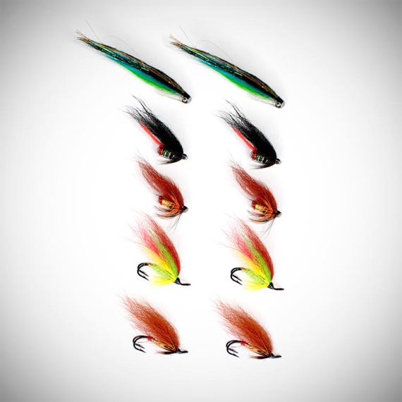 FLy Assorment Salmon Low Water in the group Lures / Flies / Tube Flies at Sportfiskeprylar.se (FL99107)
