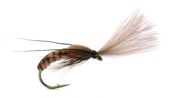 Super Emerging Caddis Cinnamon in the group Lures / Flies / Dry Flies at Sportfiskeprylar.se (GL46157r)