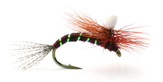 Ephemerella Klekker in the group Fishing methods / Fly Fishing at Sportfiskeprylar.se (GL46169r)