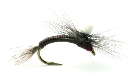 Leptoklekker in the group Lures / Flies / Dry Flies at Sportfiskeprylar.se (GL46181r)