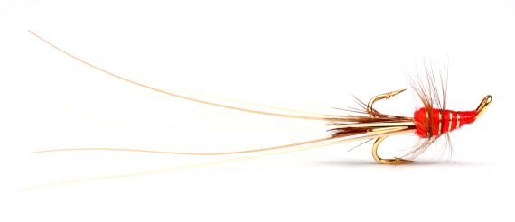 Red Frances Golden in the group Lures / Flies / Salmon Flies at Sportfiskeprylar.se (GL49601r)