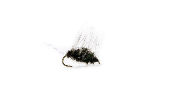Vindelns Gnat in the group Lures / Flies / Dry Flies at Sportfiskeprylar.se (HF0007-14r)