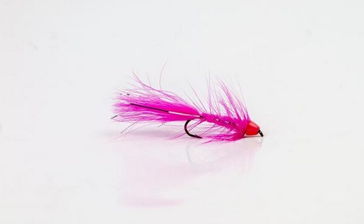 Wolly Bugger Cone Pink size 8 in the group Lures / Flies / Streamers at Sportfiskeprylar.se (HF1227-8)