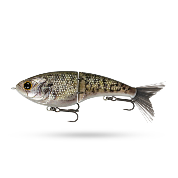 6th Sense Judo - Live Crappie