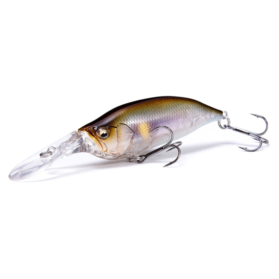 Megabass Ixi Shad TX in the group Lures / Crankbaits / Deep Diving Crankbaits at Sportfiskeprylar.se (MB-00000048066r)
