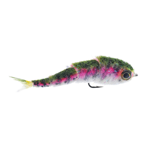 Umpqua Gamechanger 4,5\'\' #2/0 - Rainbow in the group Lures / Flies at Sportfiskeprylar.se (NFD9633-R20)