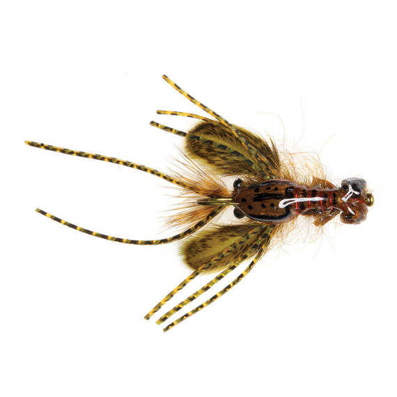 Umpqua Creek Crawler Olive #4 Hada\'s in the group Lures / Flies / Streamers at Sportfiskeprylar.se (NFD9656-OL4)