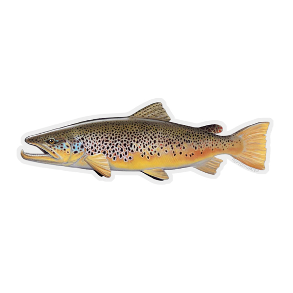RepYourWater Sticker - Brown Trout in the group Other / Stickers & Decals at Sportfiskeprylar.se (NFD9717)