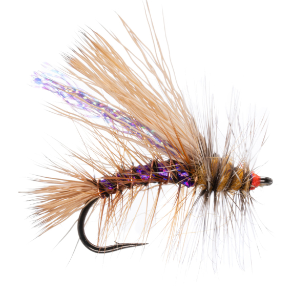 Umpqua Naked Stimulator Kaufmann Purple - #10 in the group Lures / Flies / Dry Flies at Sportfiskeprylar.se (NFD9827--Purple)