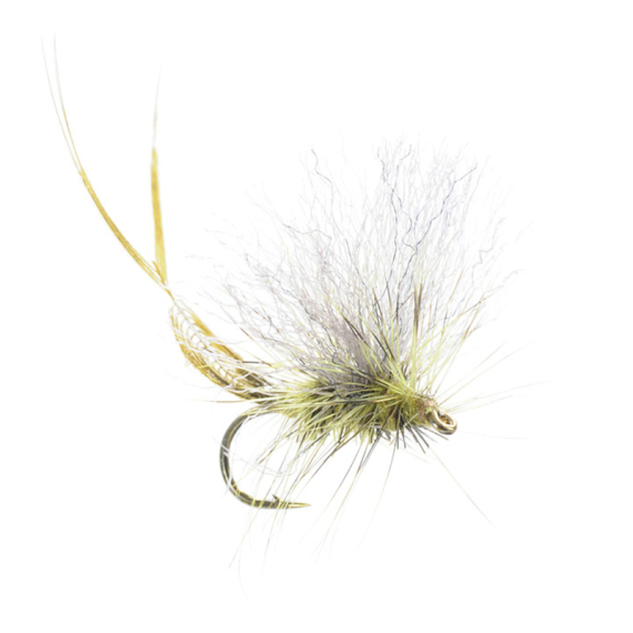 Umpqua Extended Body Green Drake - #12 in the group Lures / Flies / Dry Flies at Sportfiskeprylar.se (NFD9838-Green12)