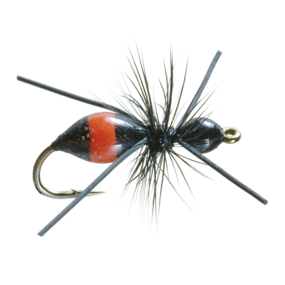 Umpqua Attract-Ant Black/Red - #16 in the group Lures / Flies / Dry Flies at Sportfiskeprylar.se (NFD9861-16)