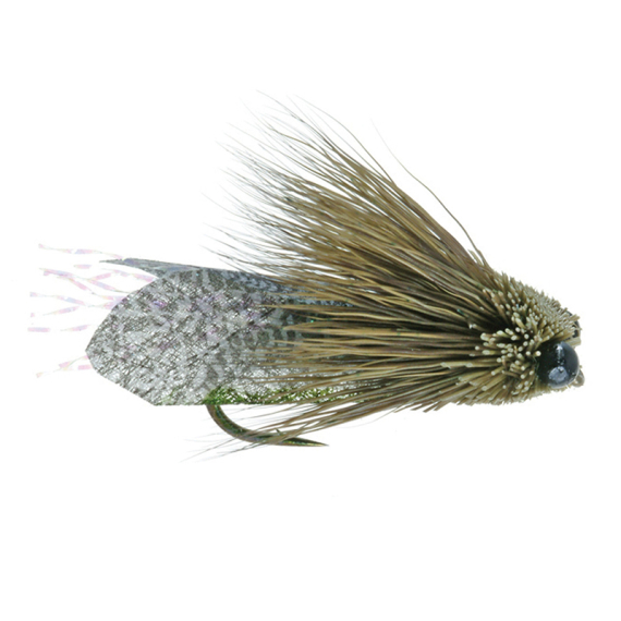 Umpqua Clark\'s Cicada Olive - #10 in the group Lures / Flies / Dry Flies at Sportfiskeprylar.se (NFD9865-10)