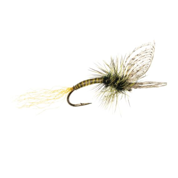 Umpqua Maldos PMD Emerger Maldonado in the group Lures / Flies / Dry Flies at Sportfiskeprylar.se (NFD9870-16r)
