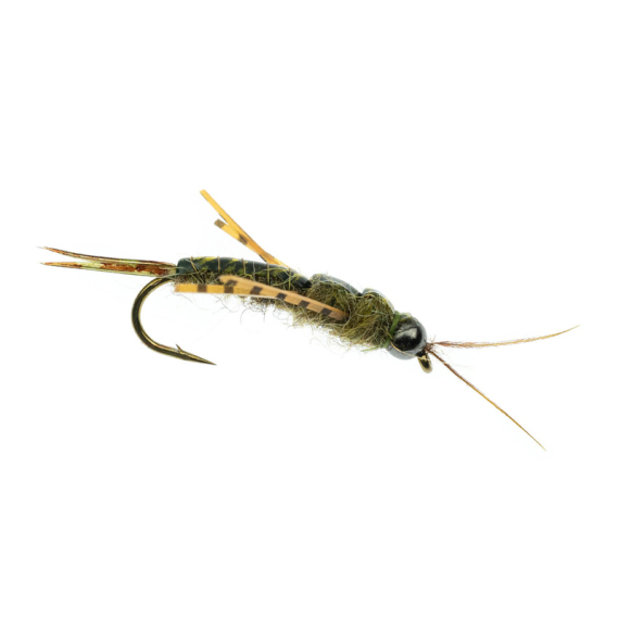 Umpqua Skwala Stone Tungsten Olive in the group Lures / Flies / Wet Flies at Sportfiskeprylar.se (NFD9886-8r)