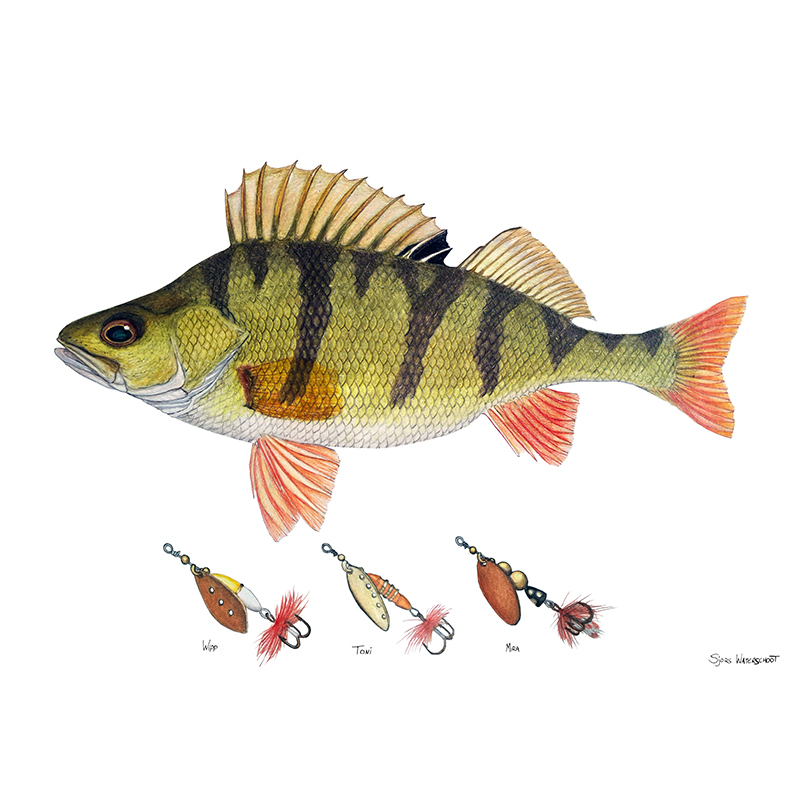 Myran Framed Perch Poster in the group at Sportfiskeprylar.se (NFS50-5)
