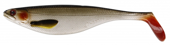 Westin ShadTeez 16cm 39g Lively Roach (bulk) in the group Lures / Softbaits / Pike Softbaits at Sportfiskeprylar.se (P021-136-026)