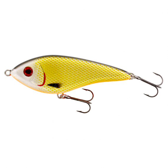 Westin Swim 15cm Suspending - Official Roach in the group Lures / Swimbaits / Hard Swimbaits at Sportfiskeprylar.se (P036-155-023)