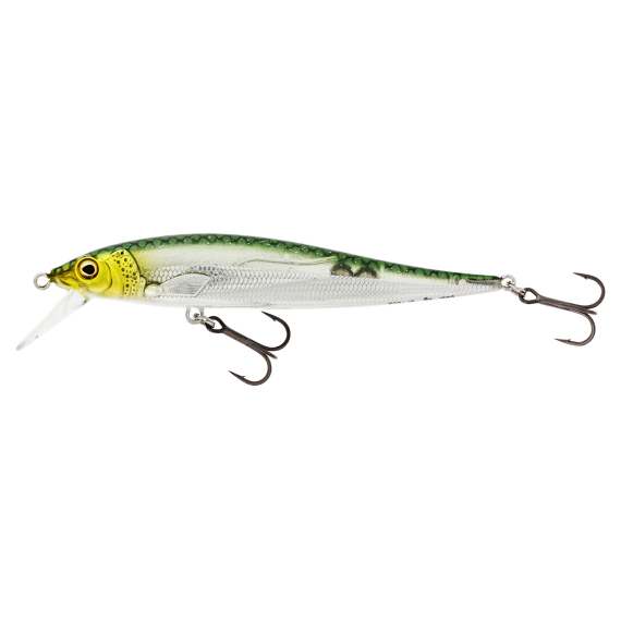 Westin Jerkbite MR 11cm 15g Suspending Leurre Jerkbait Twitchbait COULEURS