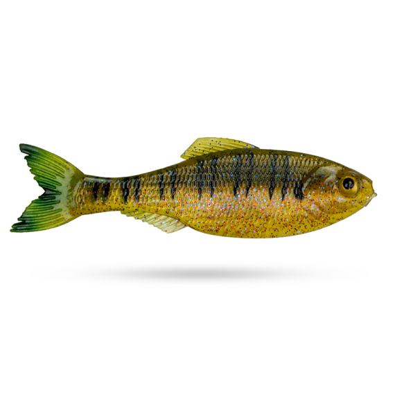 6th Sense Panorama, 2'' - Live Sunfish