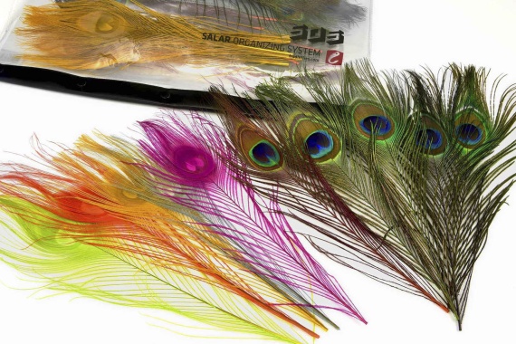 Frödin Peacock Feather Pack in the group Hooks & Terminal Tackle / Fly Tying / Fly Tying Material / Feathers & Capes / Other Feathers at Sportfiskeprylar.se (PFP-1)