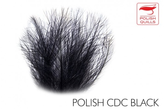 Polish Quill CDC in the group Hooks & Terminal Tackle / Fly Tying / Fly Tying Material / Feathers & Capes / CDC at Sportfiskeprylar.se (PQ-PCDC-Honeyr)