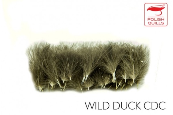 Polish Quill Wild Duck CDC in the group Hooks & Terminal Tackle / Fly Tying / Fly Tying Material / Feathers & Capes / Other Feathers at Sportfiskeprylar.se (PQ-WDCDC)