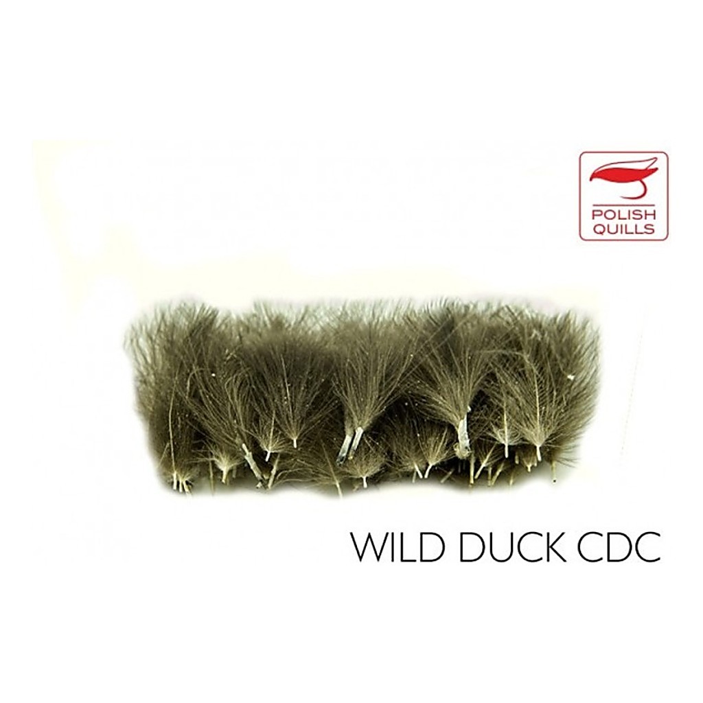 Polish Quill Wild Duck CDC in the group Hooks & Terminal Tackle / Fly Tying / Fly Tying Material / Feathers & Capes / Other Feathers at Sportfiskeprylar.se (PQ-WDCDC)