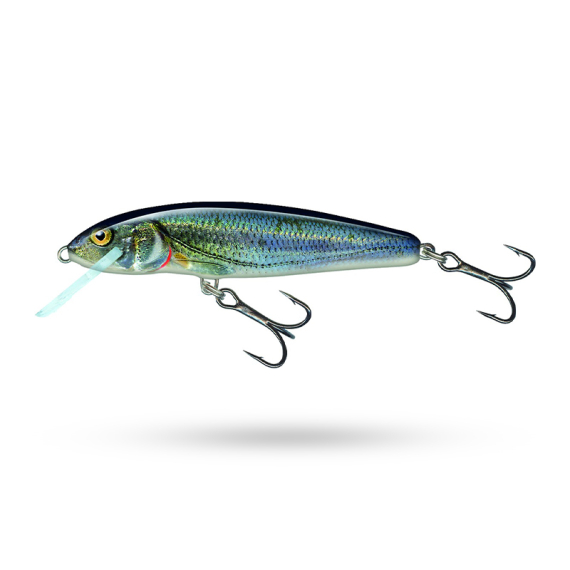 Salmo Minnow Floating in the group Lures / Crankbaits / Shallow Diving Crankbaits at Sportfiskeprylar.se (QMW002r)