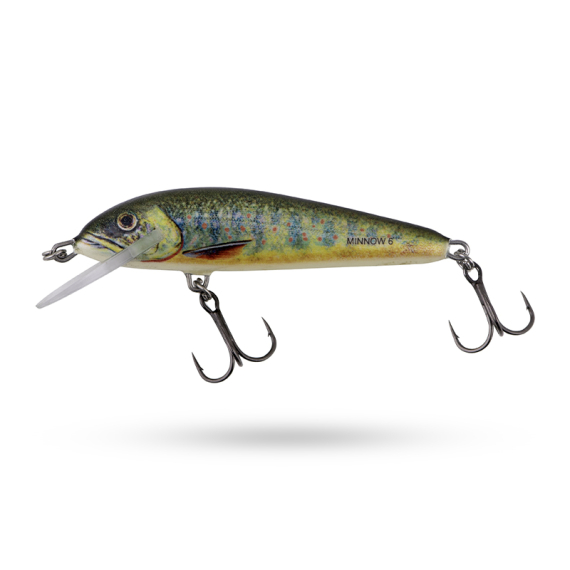 Salmo Minnow Sikning in the group Lures / Crankbaits / Shallow Diving Crankbaits at Sportfiskeprylar.se (QMW008r)
