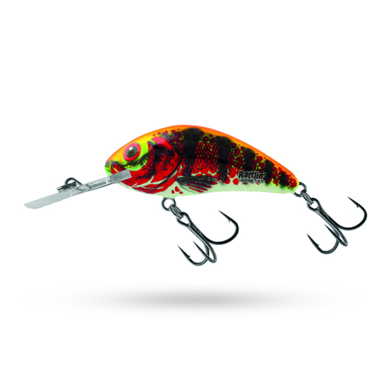 Salmo Rattlin\' Hornet 5.5cm - Holo Red Perch in the group Lures / Crankbaits / Deep Diving Crankbaits at Sportfiskeprylar.se (QRH517)