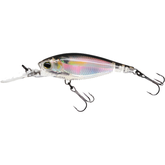 YO-Zuri 3DR Shad SP70 in the group Lures / Crankbaits / Deep Diving Crankbaits at Sportfiskeprylar.se (R1312-RGLMr)