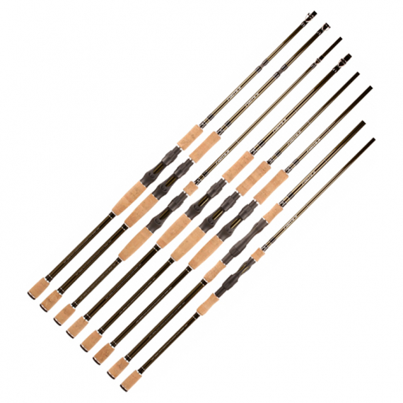 BFT Roots G2 in the group Rods / Casting Rods at Sportfiskeprylar.se (ROOTSG2r)