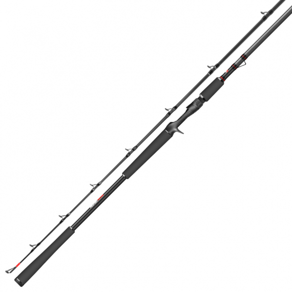 PikeFight V2 Casting 8'6'' 110g 2pc
