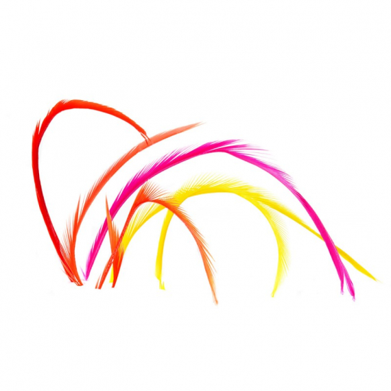 Goosebiots in the group Hooks & Terminal Tackle / Fly Tying / Fly Tying Material / Feathers & Capes / Hackle at Sportfiskeprylar.se (V5048r)