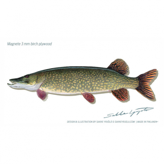 Magnets Pike 11cm in the group Other / Stickers & Decals at Sportfiskeprylar.se (VD-1063)