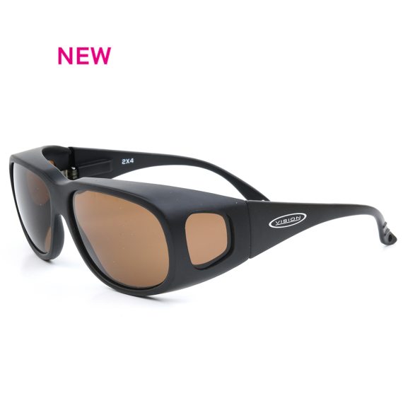 vision group sunglasses