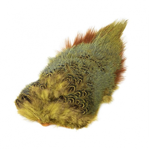 Ringneck Rump Patch in the group Hooks & Terminal Tackle / Fly Tying / Fly Tying Material / Feathers & Capes / Capes & Saddles at Sportfiskeprylar.se (W-PSR010r)